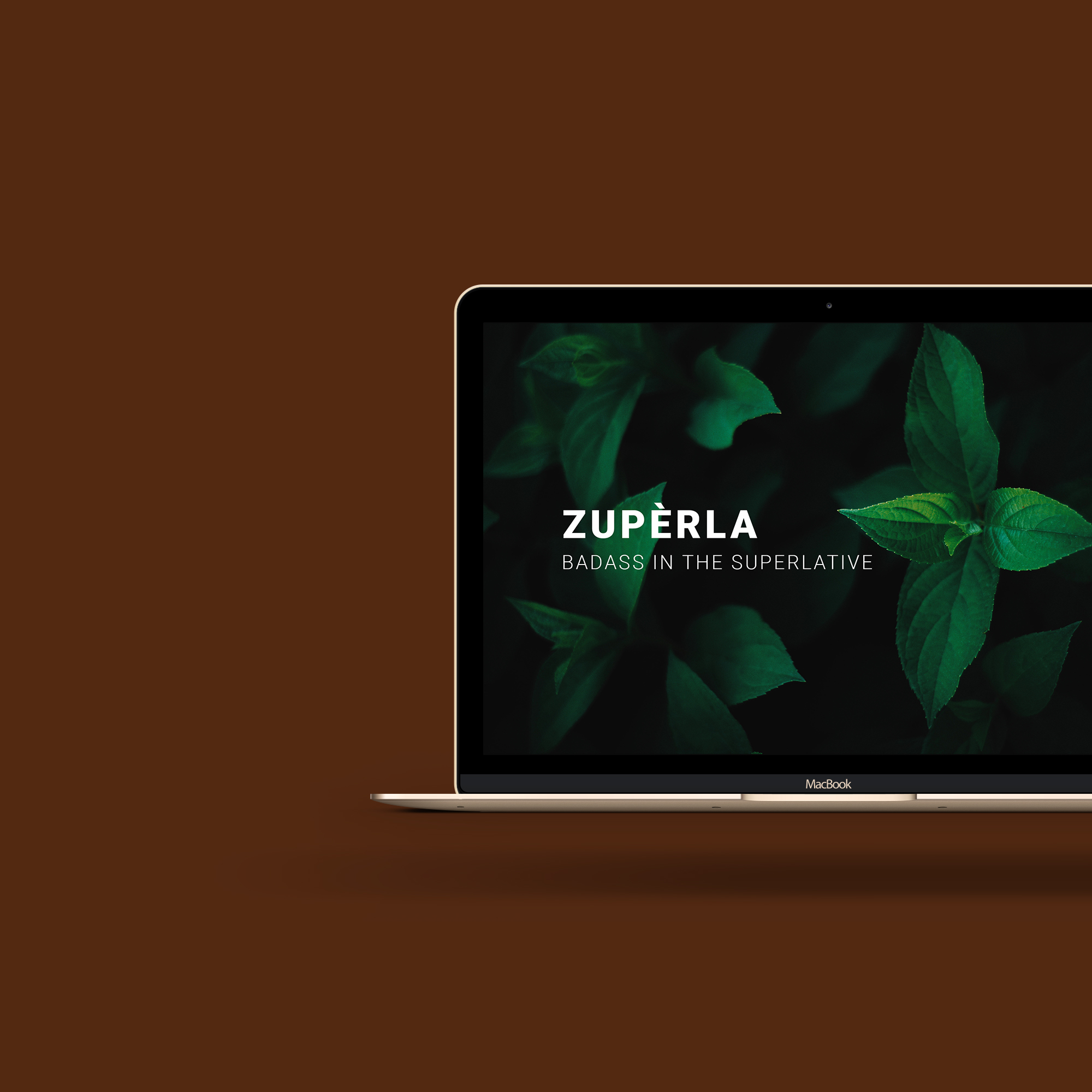 Zuperla Premium WordPress Themes